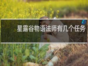 星露谷物语法师有几个任务