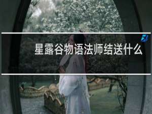 星露谷物语法师结送什么