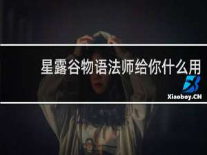 星露谷物语法师给你什么用