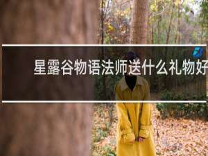 星露谷物语法师送什么礼物好