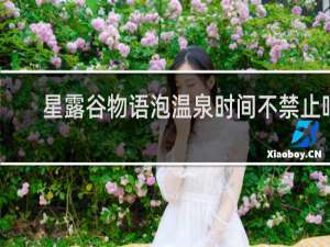 星露谷物语泡温泉时间不禁止吗