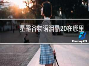 星露谷物语泪晶 在哪里