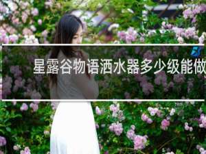 星露谷物语洒水器多少级能做