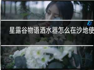 星露谷物语洒水器怎么在沙地使用