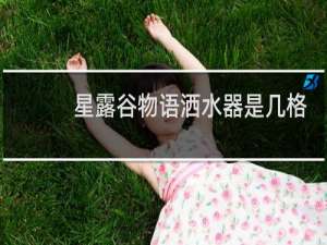 星露谷物语洒水器是几格