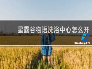 星露谷物语洗浴中心怎么开
