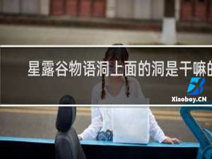 星露谷物语洞上面的洞是干嘛的