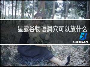 星露谷物语洞穴可以放什么