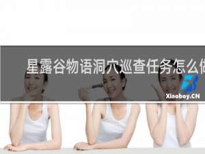 星露谷物语洞穴巡查任务怎么做