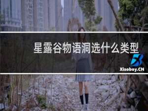 星露谷物语洞选什么类型