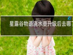 星露谷物语浇水壶升级后去哪了