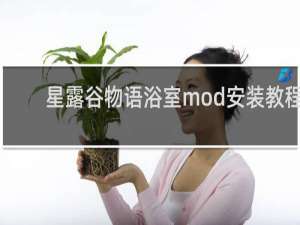 星露谷物语浴室mod安装教程