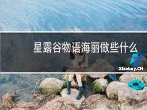 星露谷物语海丽做些什么