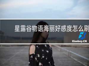 星露谷物语海丽好感度怎么刷