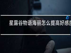星露谷物语海丽怎么提高好感度