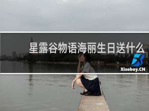 星露谷物语海丽生日送什么