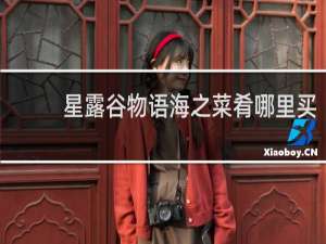 星露谷物语海之菜肴哪里买
