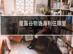 星露谷物语海利住哪里