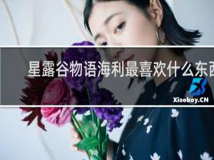 星露谷物语海利最喜欢什么东西