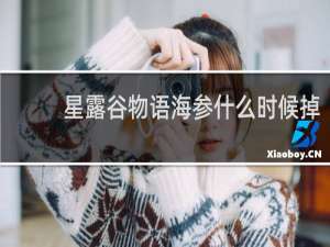 星露谷物语海参什么时候掉