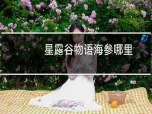 星露谷物语海参哪里