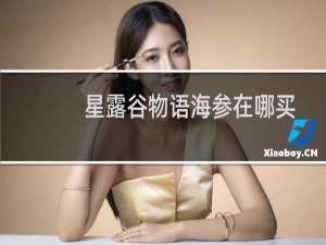 星露谷物语海参在哪买