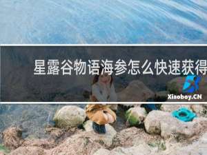 星露谷物语海参怎么快速获得