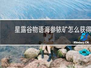 星露谷物语海参铱矿怎么获得