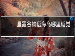 星露谷物语海岛哪里睡觉