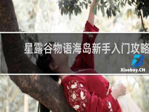 星露谷物语海岛新手入门攻略