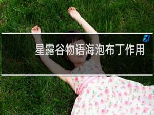星露谷物语海泡布丁作用