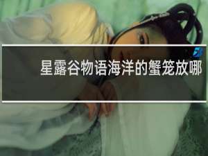 星露谷物语海洋的蟹笼放哪