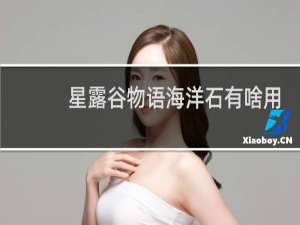 星露谷物语海洋石有啥用