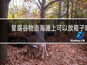 星露谷物语海滩上可以放箱子吗