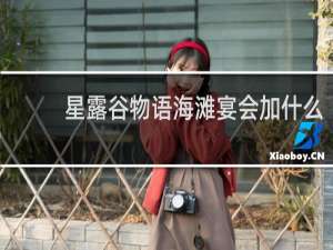 星露谷物语海滩宴会加什么