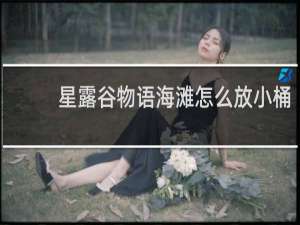 星露谷物语海滩怎么放小桶