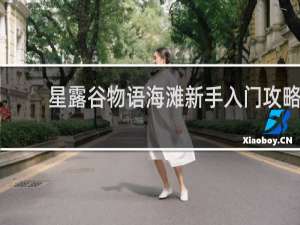 星露谷物语海滩新手入门攻略