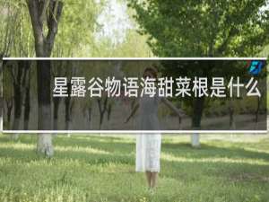 星露谷物语海甜菜根是什么