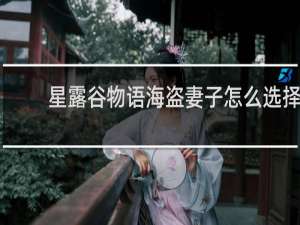 星露谷物语海盗妻子怎么选择