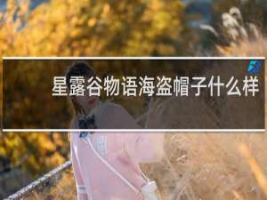 星露谷物语海盗帽子什么样