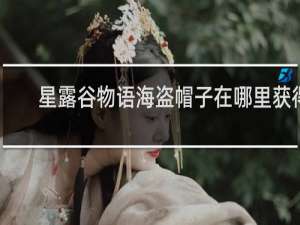 星露谷物语海盗帽子在哪里获得
