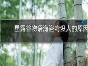星露谷物语海盗湾没人的原因