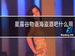 星露谷物语海盗酒吧什么用