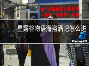 星露谷物语海盗酒吧怎么进
