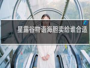 星露谷物语海胆卖给谁合适