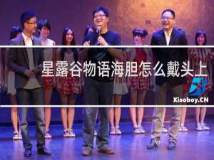 星露谷物语海胆怎么戴头上