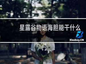 星露谷物语海胆能干什么