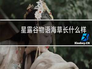 星露谷物语海草长什么样