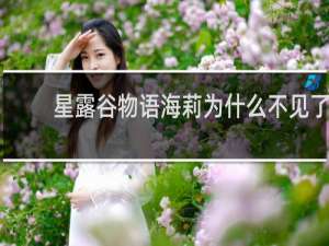 星露谷物语海莉为什么不见了