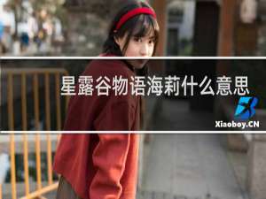 星露谷物语海莉什么意思